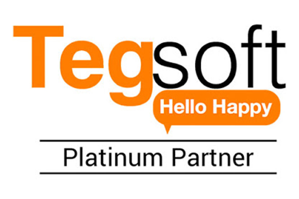 TEGSOFT
